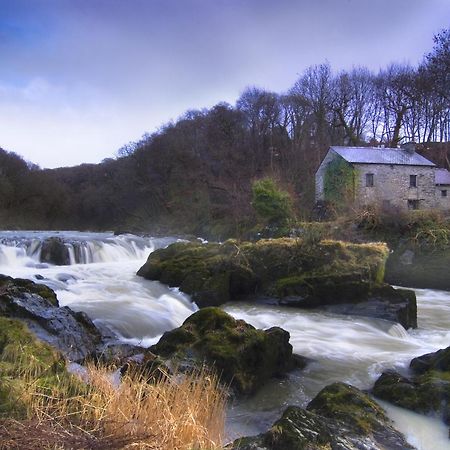 Garden Cottage Newcastle Emlyn Exterior foto