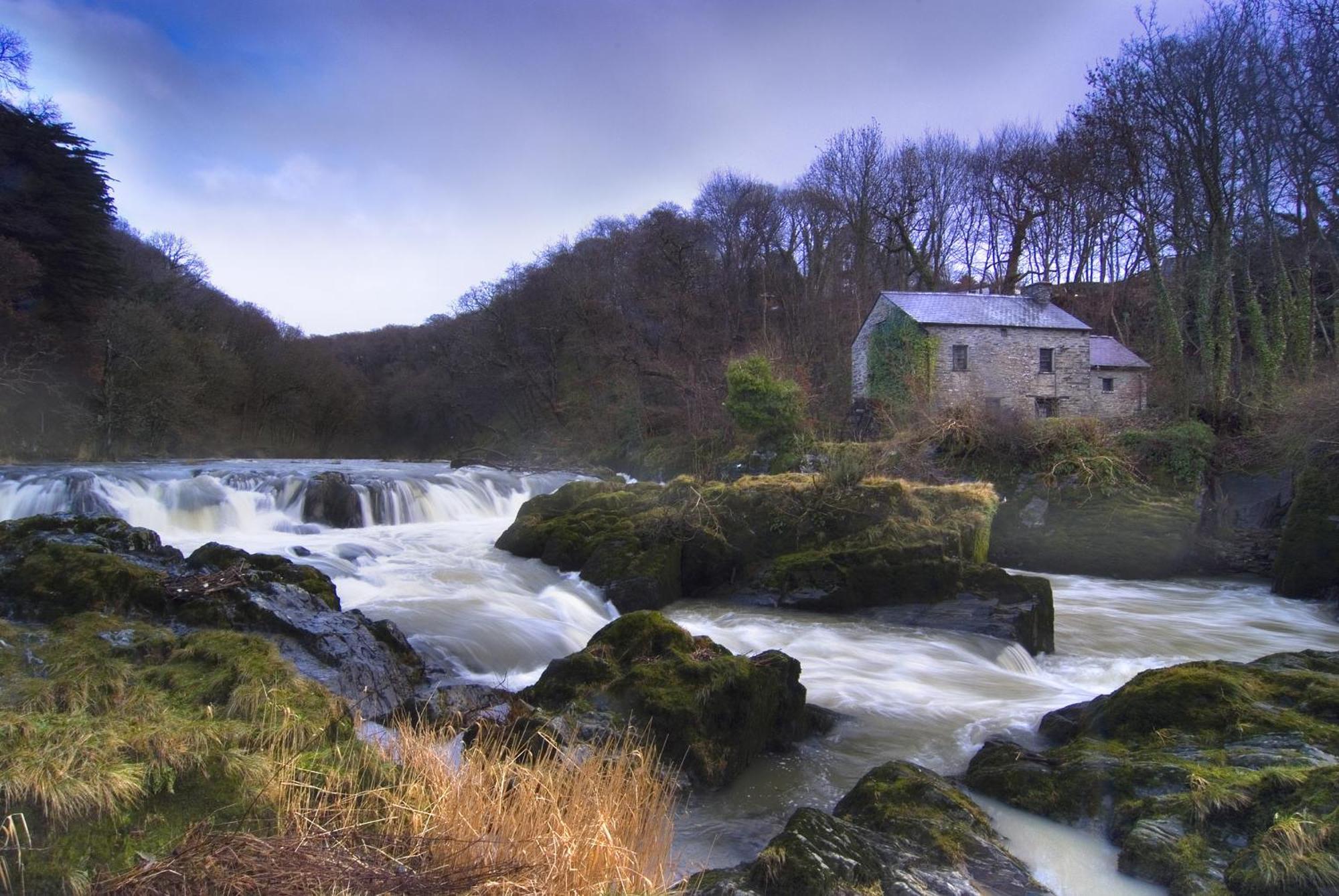 Garden Cottage Newcastle Emlyn Exterior foto